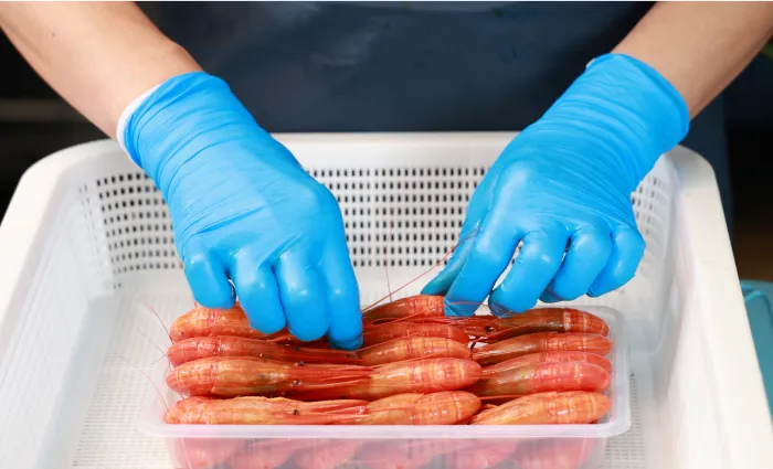 オンラインショップ