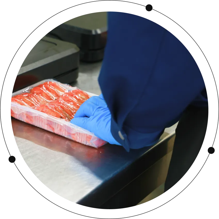 海産物の加工・梱包作業