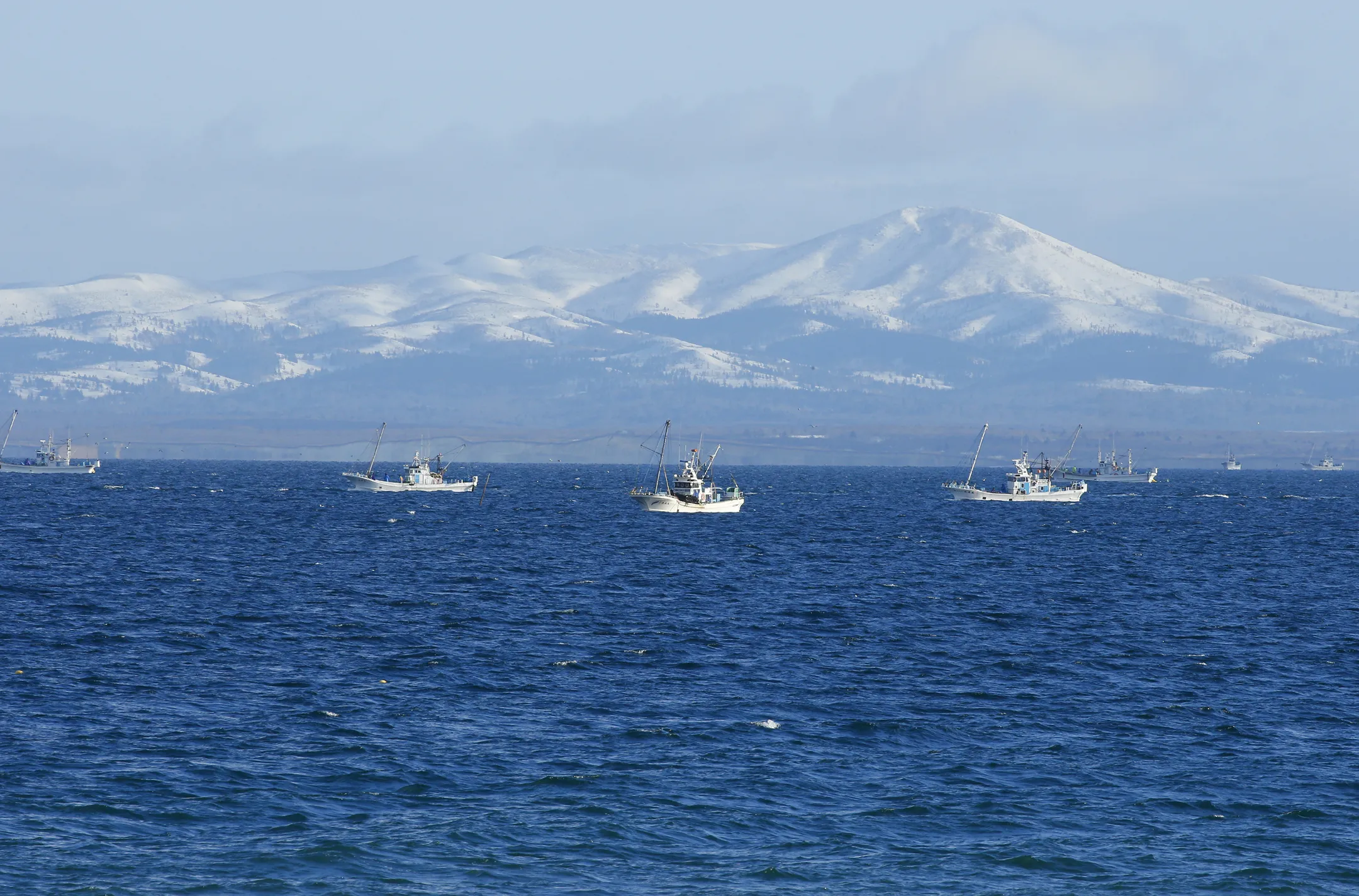 一会の美味しい出会い