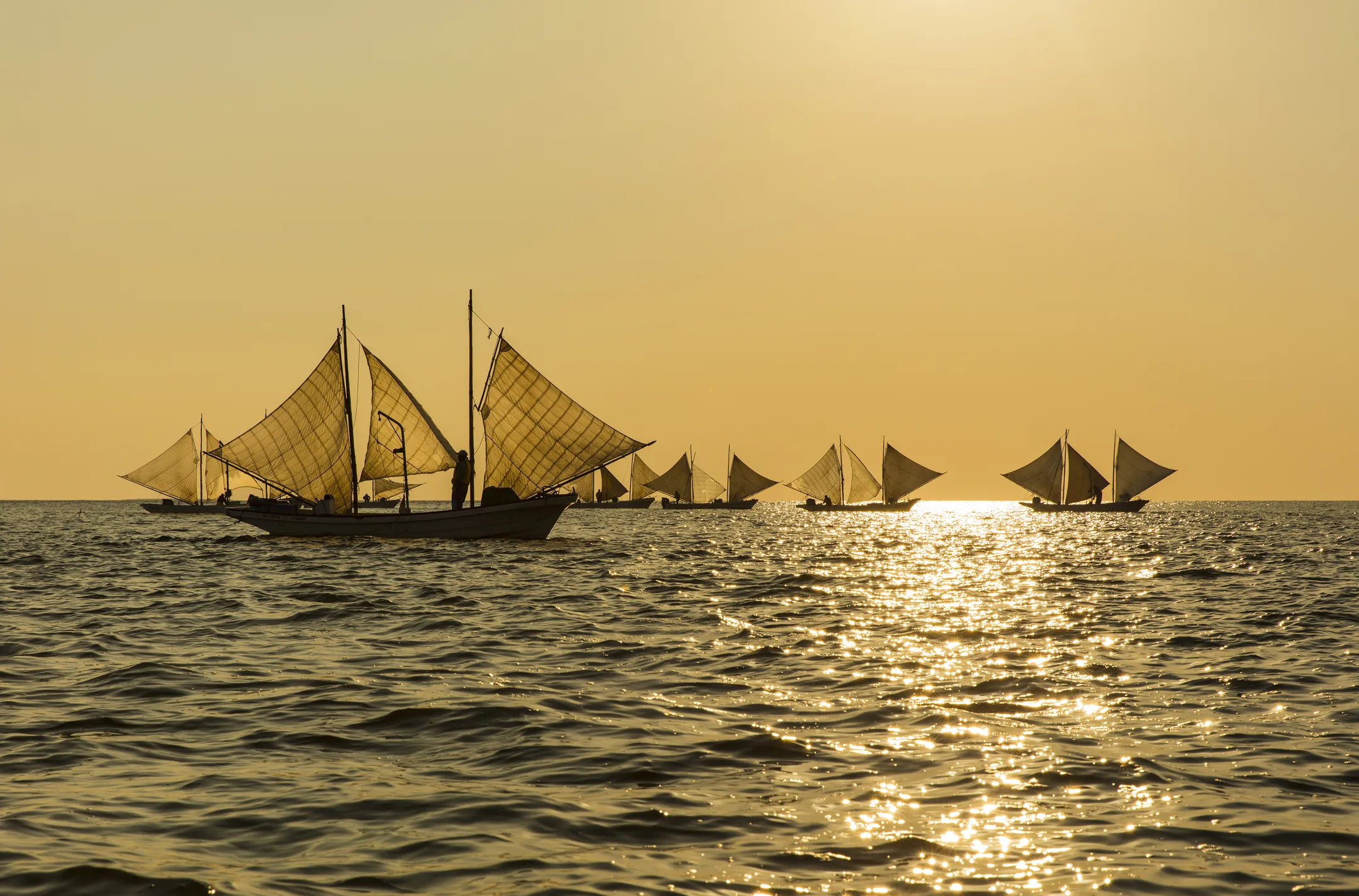 海の恵みをお届け